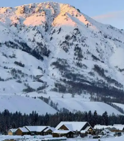 【酒家】雪乡（诗歌）