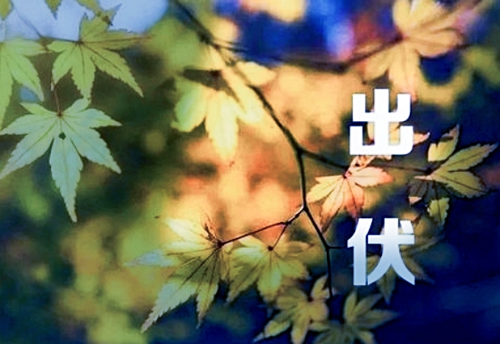 【天涯】蝶恋花·出伏〔诗词〕
