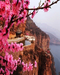桃花缘