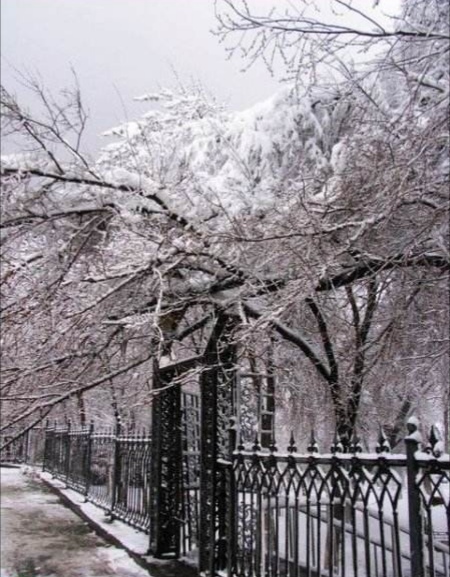 【时光】瑞雪兆丰年（散文）