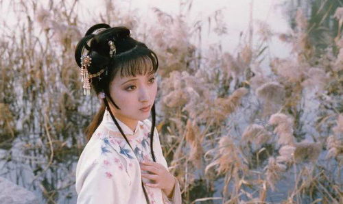 【八一】人生若只如初见（随笔）