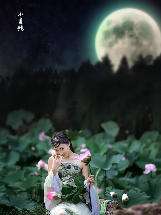 【看点】坐在夏花里，数星星（诗歌）
