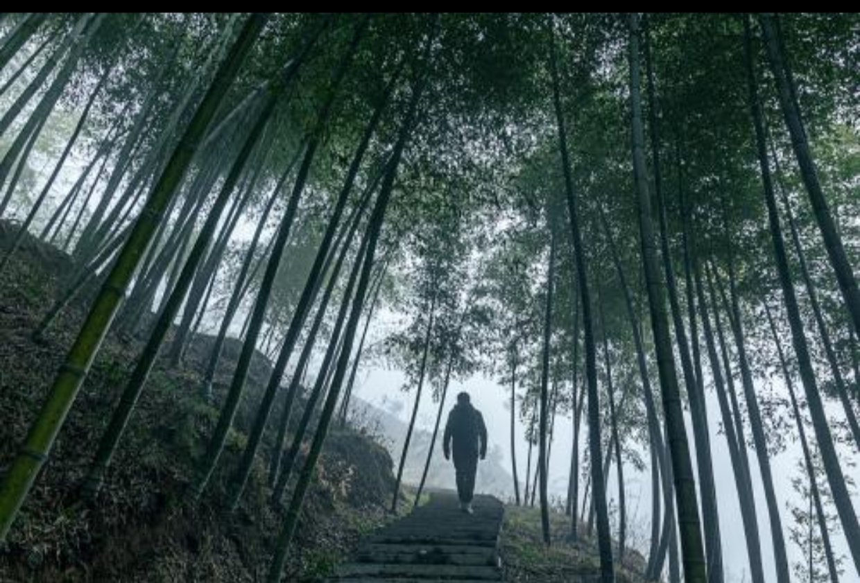 【晓荷·人世间】杨老七的一生（微小说）