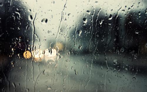 【八一】七绝•雨（古韵外十一首）