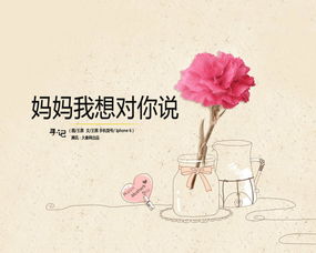 妈妈，我想对你说（随笔）
