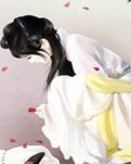 子衿梦蝶