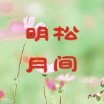 松间明月