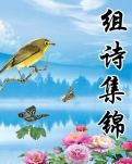 雅韵清吟