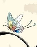 蝶