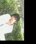 魇雨