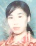 遗逝的美好