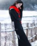 飘然若雪