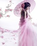 花落、若相怜
