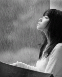 一笺素雨