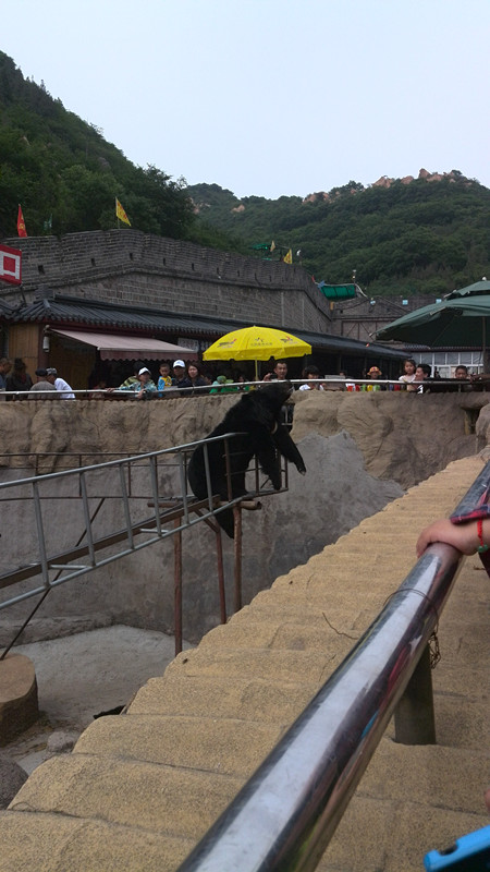 天安门降国旗  北京八达岭长城    水立方