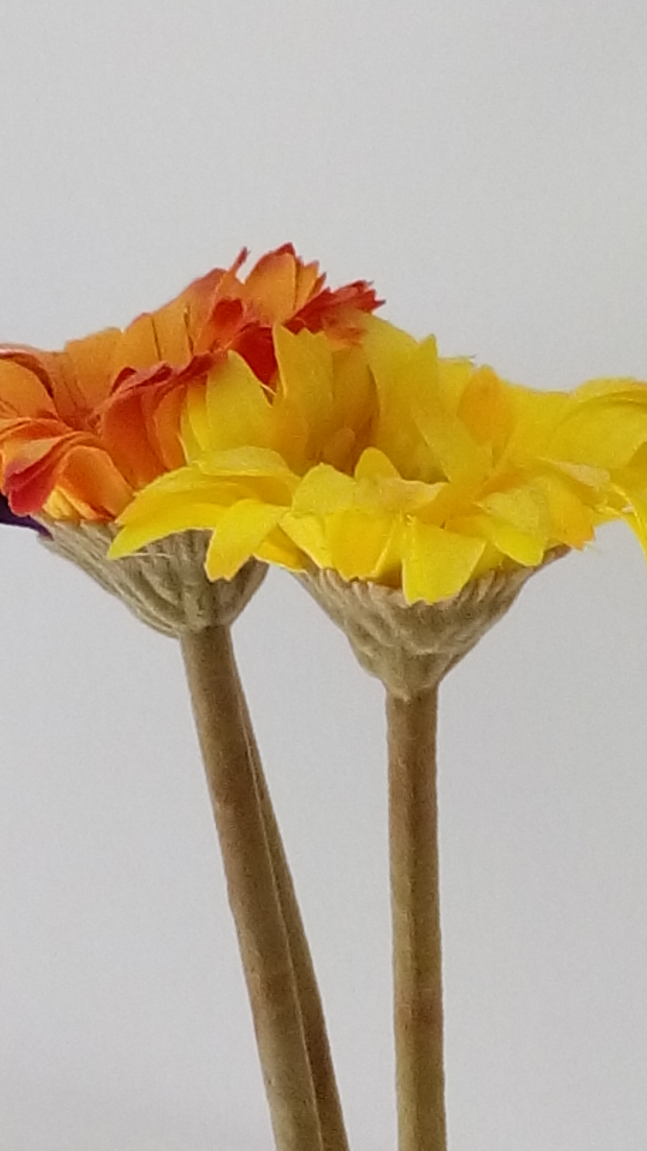 花瓶里的花
