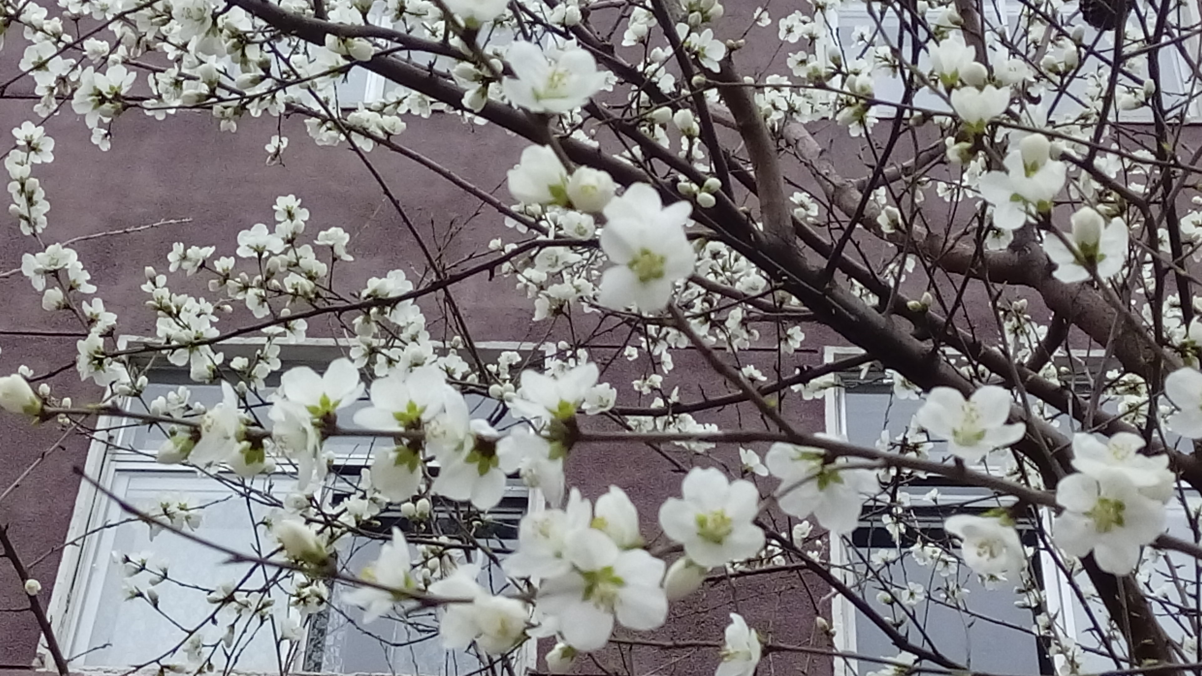 4月1日摄