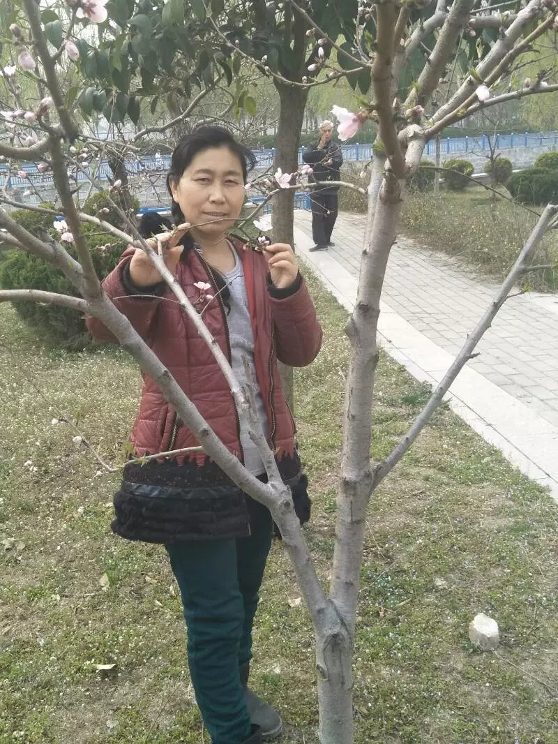 踏春去了