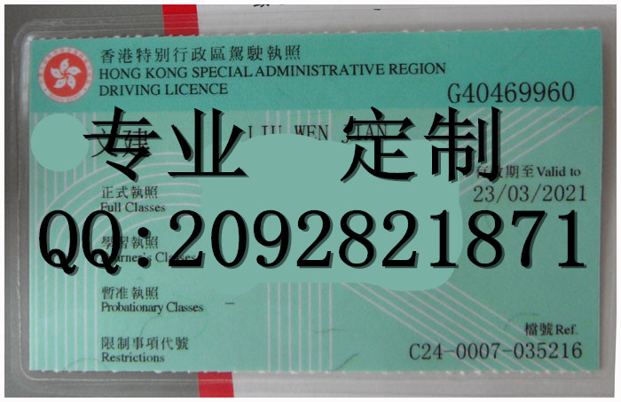 这是一个关于香港驾驶证样本图片的照片