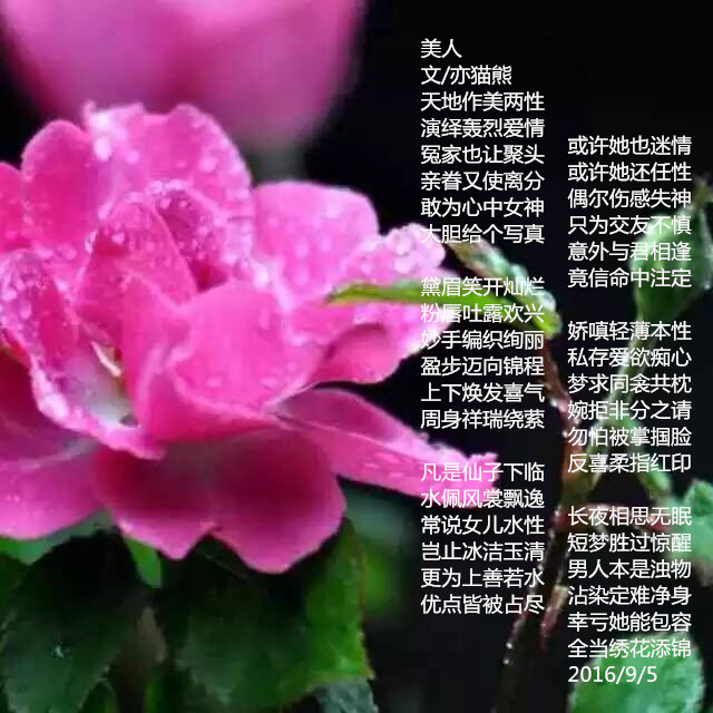美人 文/亦猫熊 天地作美两性 演绎轰烈爱情 冤家也让聚头 亲眷又使离分 敢为心中女神 大胆给个写真  黛眉笑开灿烂 粉唇吐露欢声 妙手编织绚丽 盈步迈向锦程 上下焕发喜气 周身祥瑞绕萦  凡是仙子下临 水佩风裳飘逸 常说女儿水性 岂止冰洁玉清 更为上善若水 优点皆被占尽  或许她也迷情 或许她还任性 偶尔伤感失神 只为交友不慎 意外与君相逢 竟信命中注定  娇嗔轻薄本性 私存爱欲痴心 梦求同衾共枕 乃提非分之请 不怕被掌掴脸 反喜柔指红印  长夜相思无眠 短梦胜过惊醒 男人本是浊物 沾染定难净身 幸亏她能包容 全当绣花添锦 （一句话：美人，既要有外貌美，还要有内在美！） 2016/9/5