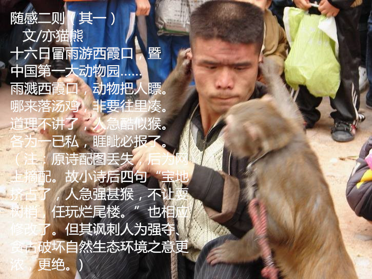 随感二则 文/亦猫熊 1 十六日冒雨游西霞口，暨中国第一大动物园……  雨溅西霞口，动物把人瞟。 哪来落汤鸡，非要往里凑。 道理不讲了，人急酷似猴。   各为生存权，睚眦必报了。