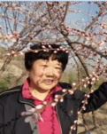 闲梦远