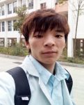 枫叶梧桐两片叶