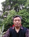 陈庆宝
