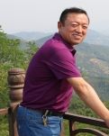 江北乔木